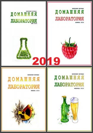 Постер к Подшивка журнала - Домашняя лаборатория за 2019 год