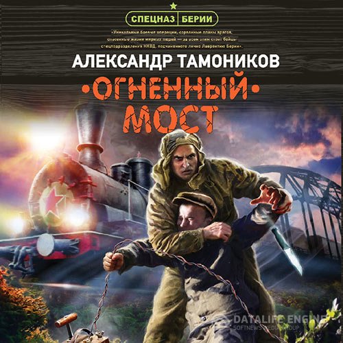 Александр Тамоников - Огненный мост (Аудиокнига)
