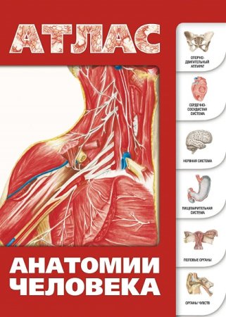 Атлас анатомии человека. Сборник 5 книг