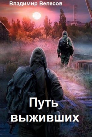Путь выживших: Первое время после - Владимир Велесов