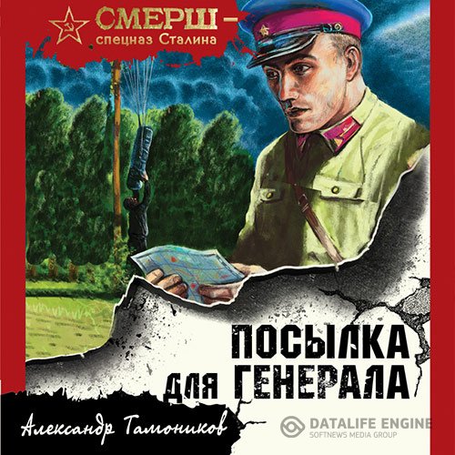 Александр Тамоников - Посылка для генерала (Аудиокнига)
