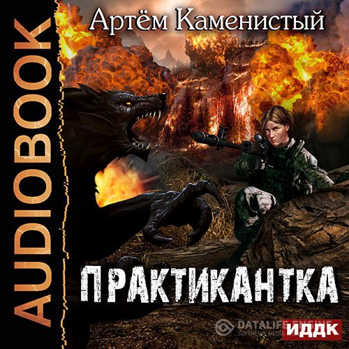 Артем Каменистый - Практикантка (Аудиокнига)