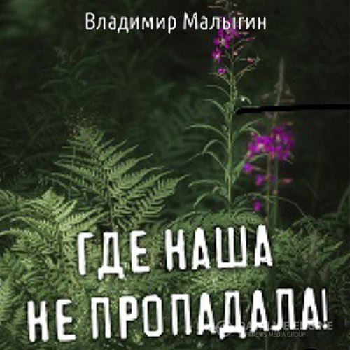 Владимир Малыгин - Где наша не пропадала! (Аудиокнига)