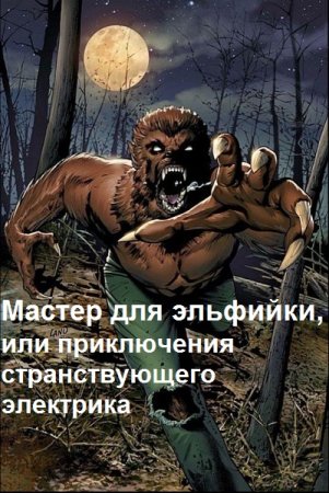 Постер к Мастер для эльфийки, или приключения странствующего электрика - Игорь Осипов