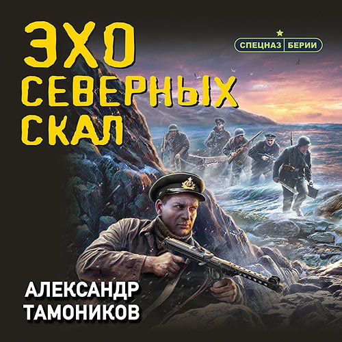 Постер к Александр Тамоников - Эхо северных скал (Аудиокнига)