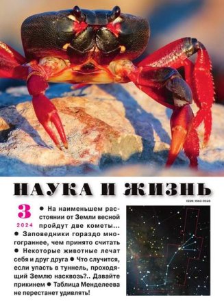 Постер к Наука и жизнь №3 (март 2024)