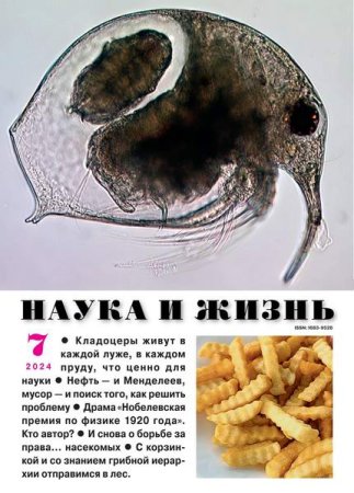 Постер к Наука и жизнь №7 (июль 2024)
