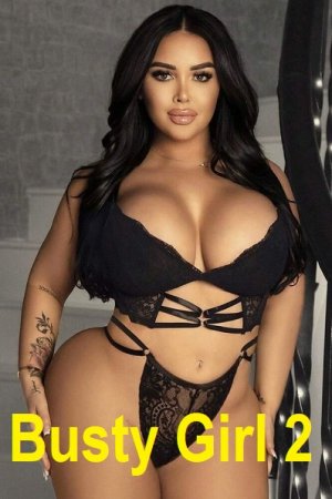 Постер к Busty Girl 2 - Сборник журналов